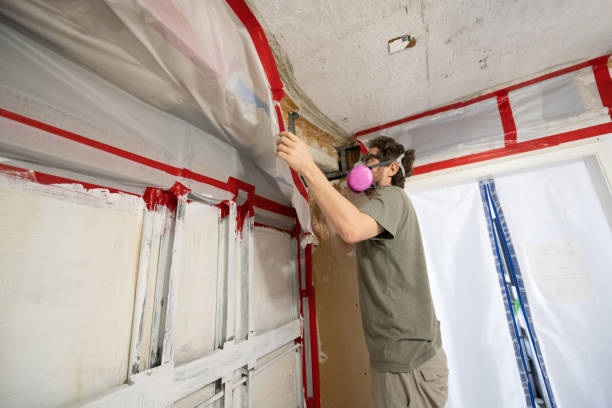 Best Mold Damage Restoration  in Monroeville, IN